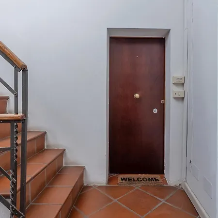 Renaissance פררה