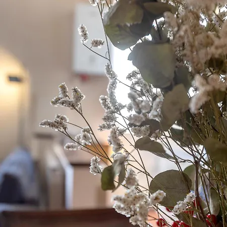 דירה Renaissance